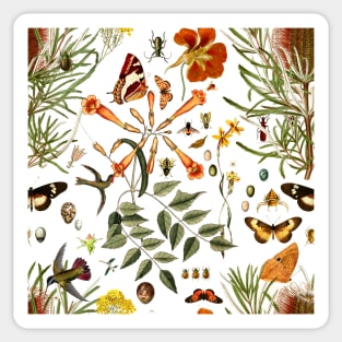 Banksia,Butterflies and bees Sticker